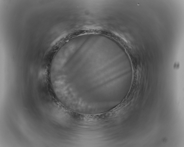 X0000091961254200709131219