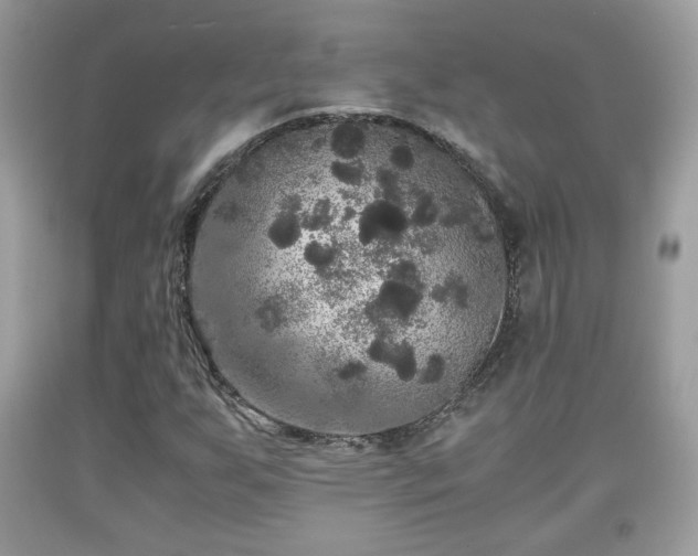 X0000091961255200709131219