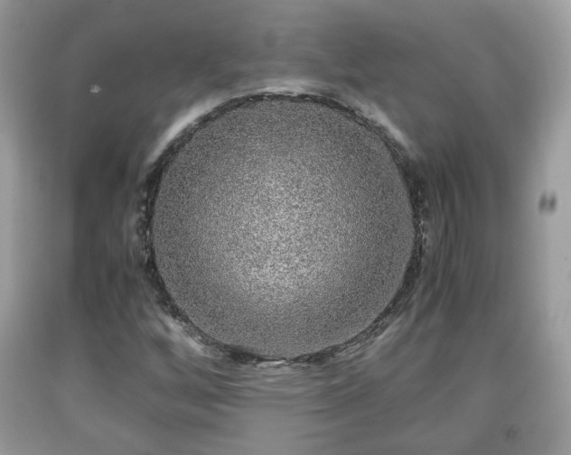 X0000091961256200709131219