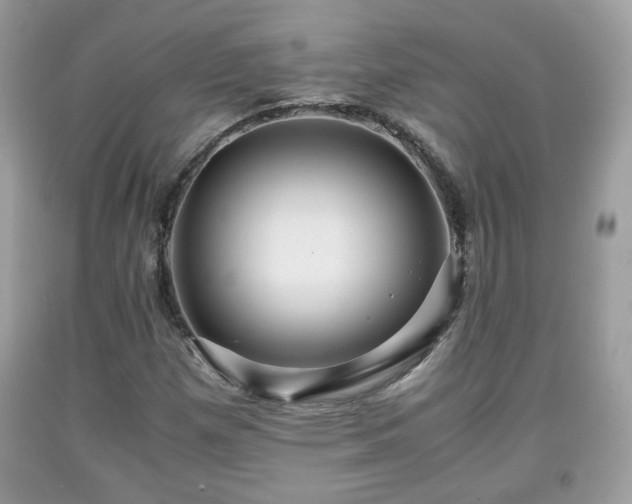 X0000091961257200709131219