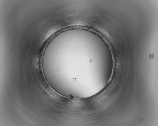 X0000091961258200709131219