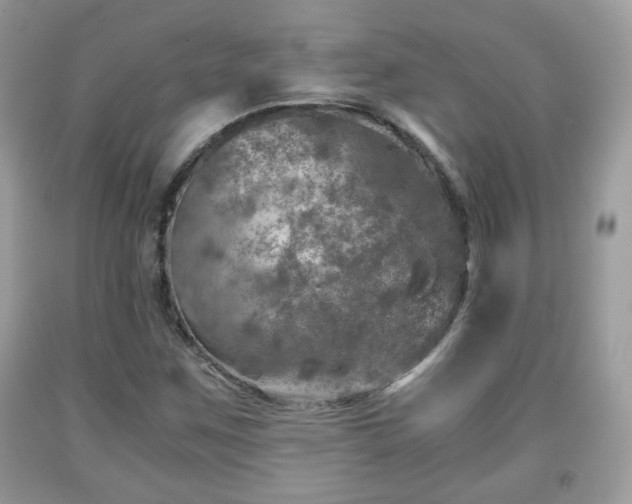 X0000091961259200709131219