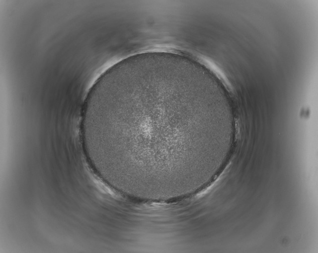 X0000091961260200709131219