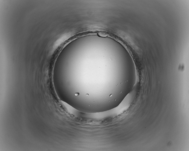 X0000091961261200709131219