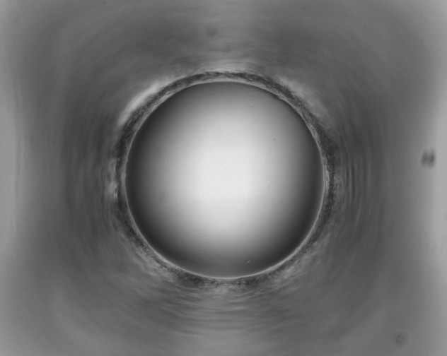 X0000091961262200709131219