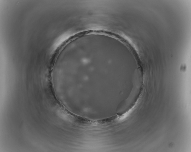 X0000091961263200709131219