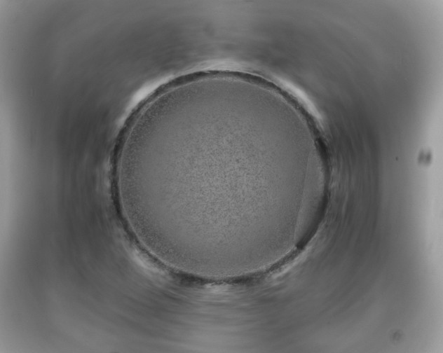 X0000091961264200709131219