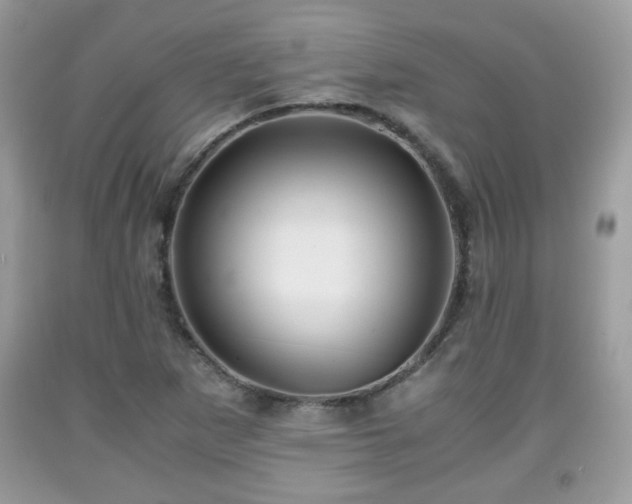 X0000091961265200709131219