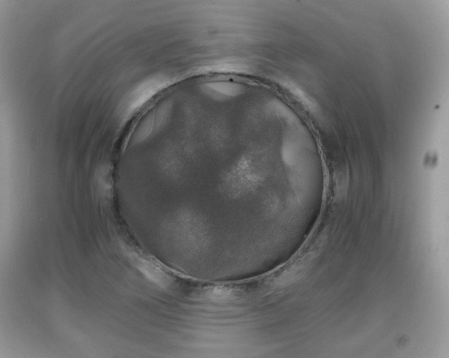 X0000091961266200709131219