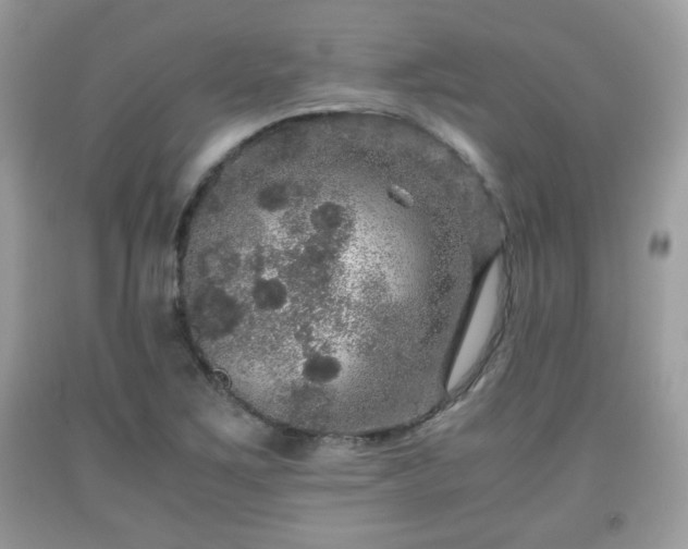 X0000091961267200709131219