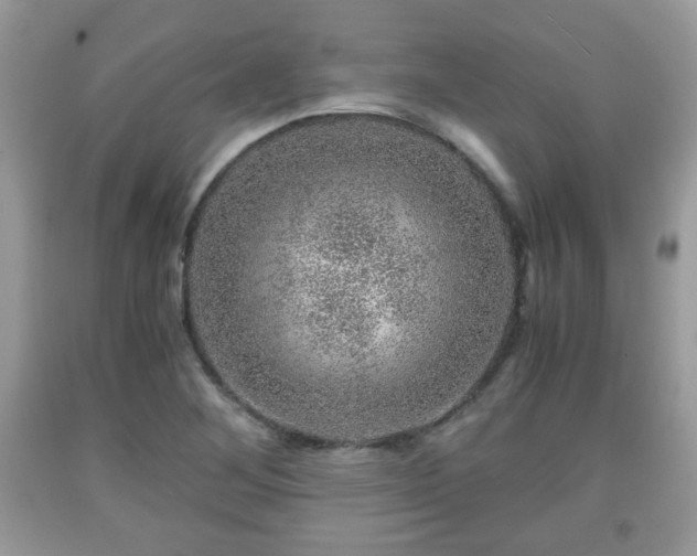 X0000091961268200709131219