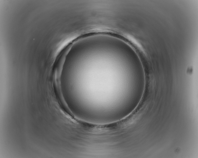 X0000091961269200709131219