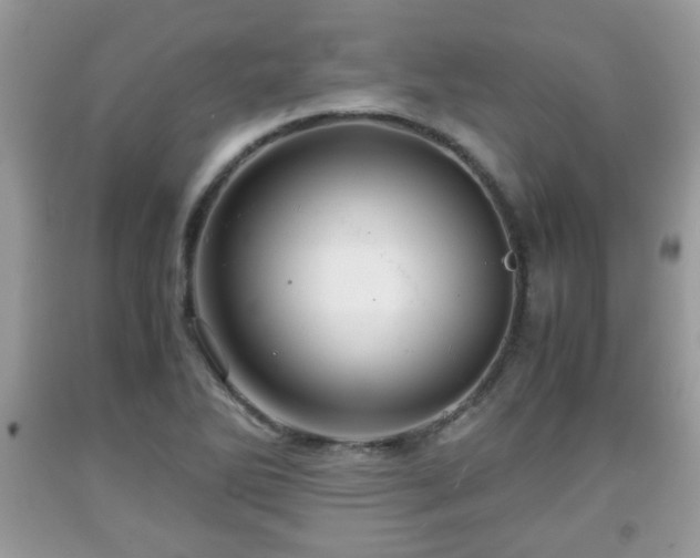 X0000091961270200709131219