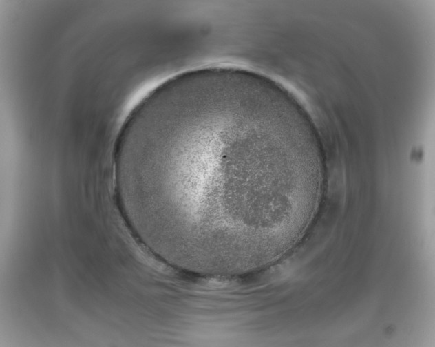 X0000091961271200709131219