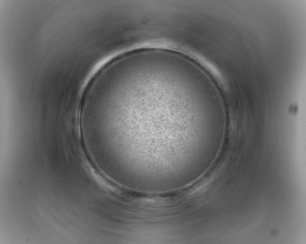 X0000091961272200709131219