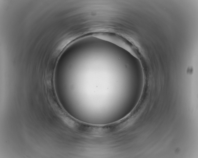 X0000091961273200709131219