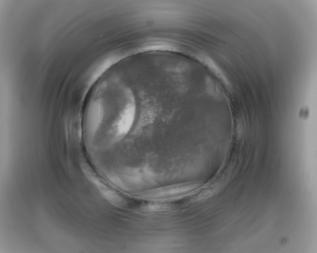 X0000091961274200709131219