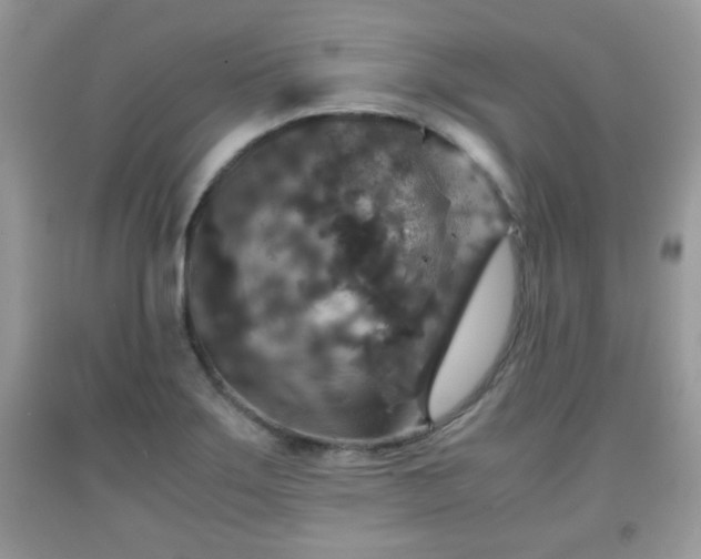 X0000091961275200709131219