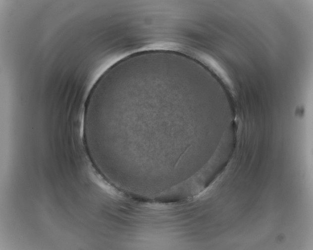 X0000091961276200709131219