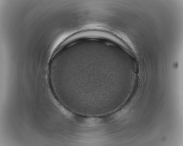 X0000091961277200709131219