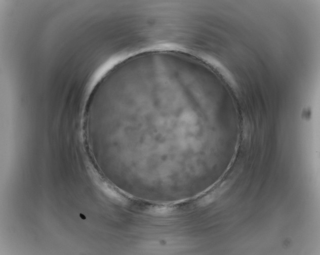 X0000091961278200709131219