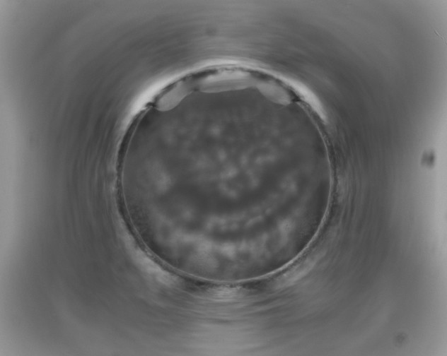 X0000091961279200709131219