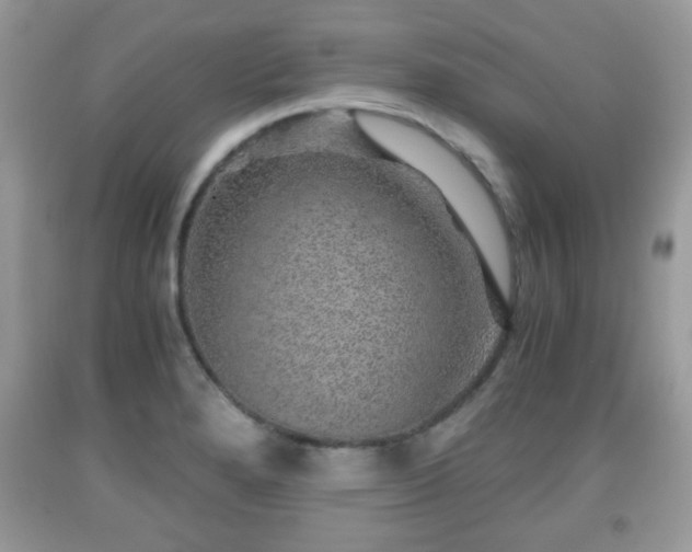 X0000091961280200709131219