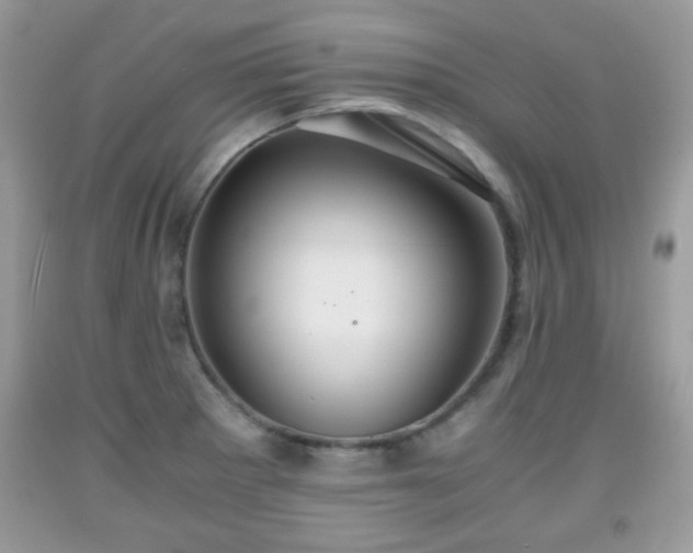 X0000091961281200709131219