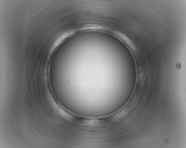 X0000091961282200709131219