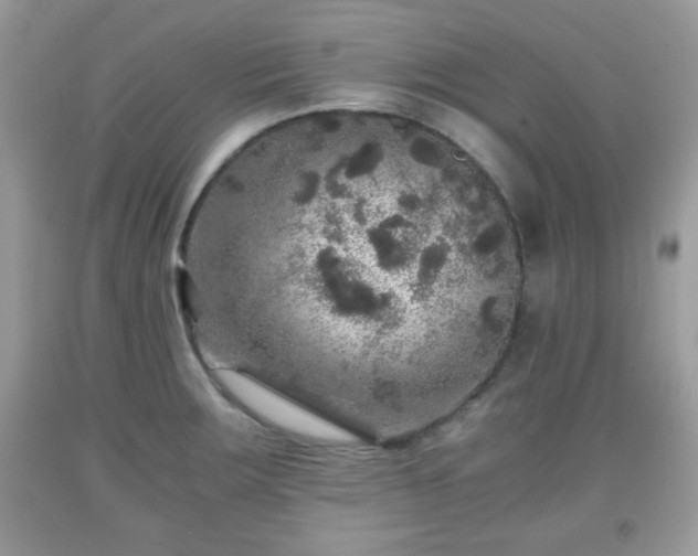 X0000091961283200709131219