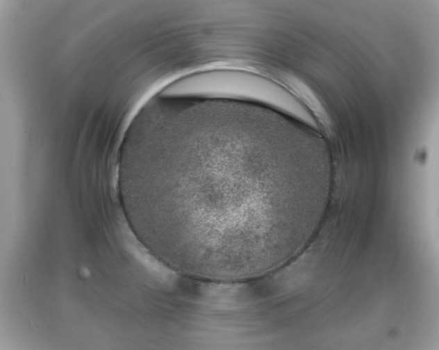 X0000091961284200709131219