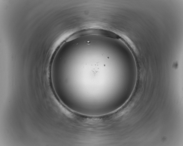 X0000091961285200709131219