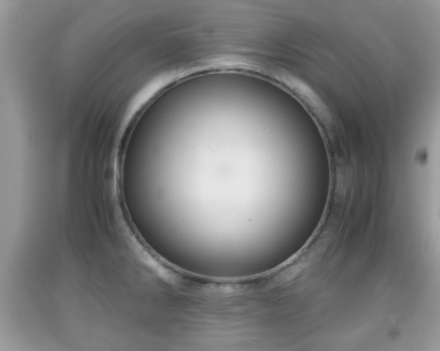 X0000091961286200709131219