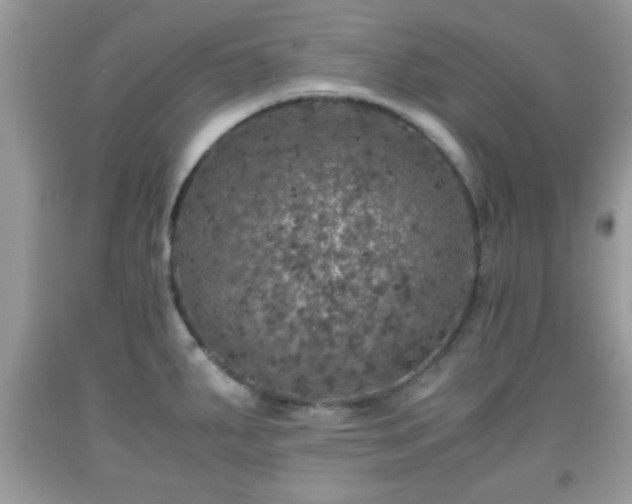 X0000091961287200709131219