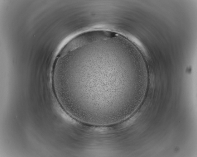 X0000091961288200709131219