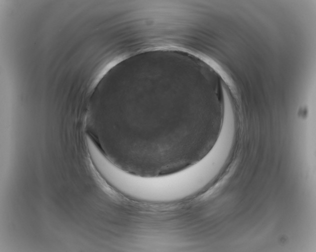 X0000091961289200709131219