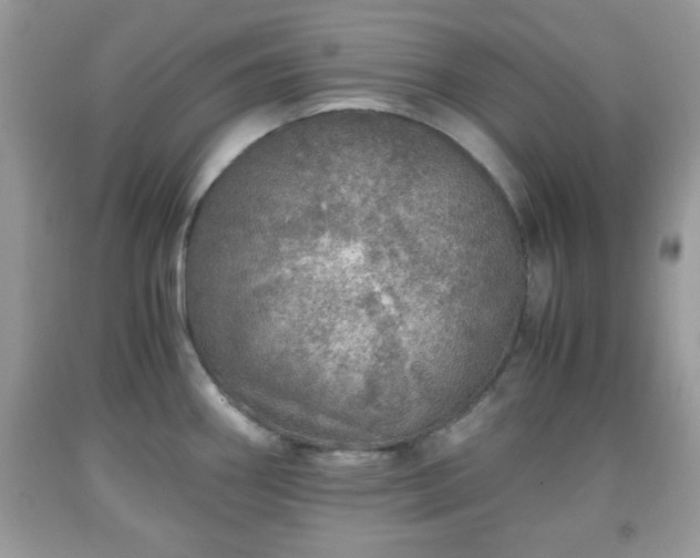 X0000091961290200709131219