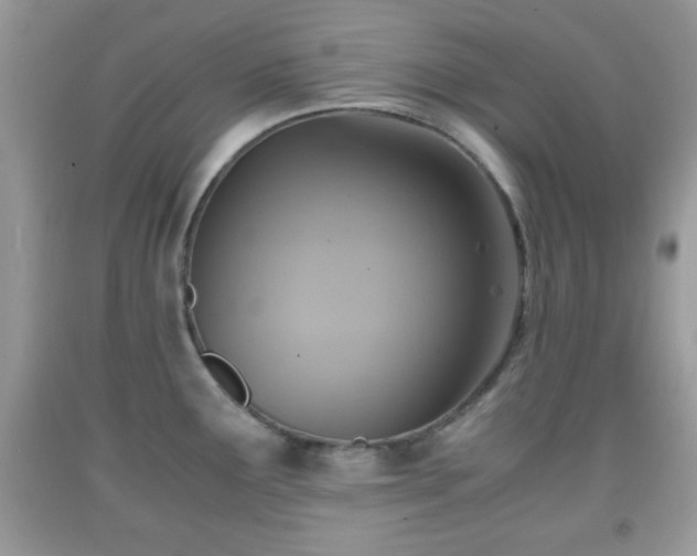 X0000091961291200709131218