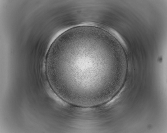 X0000091961292200709131218