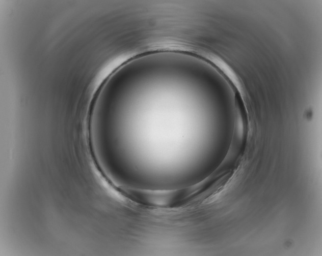 X0000091961293200709131218