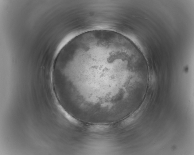 X0000091961294200709131218