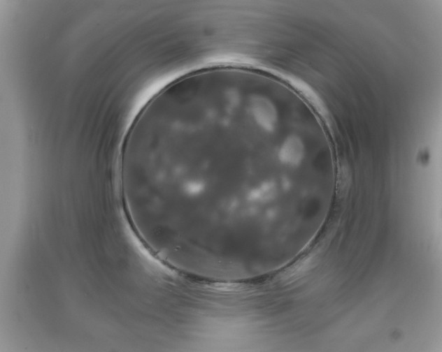 X0000091961295200709131218