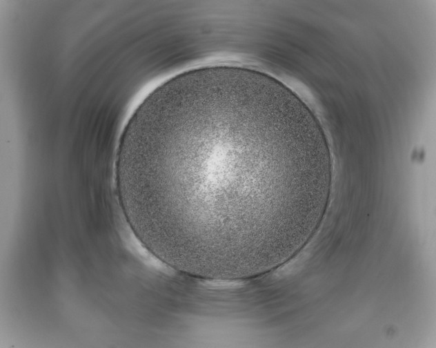 X0000091961296200709131218