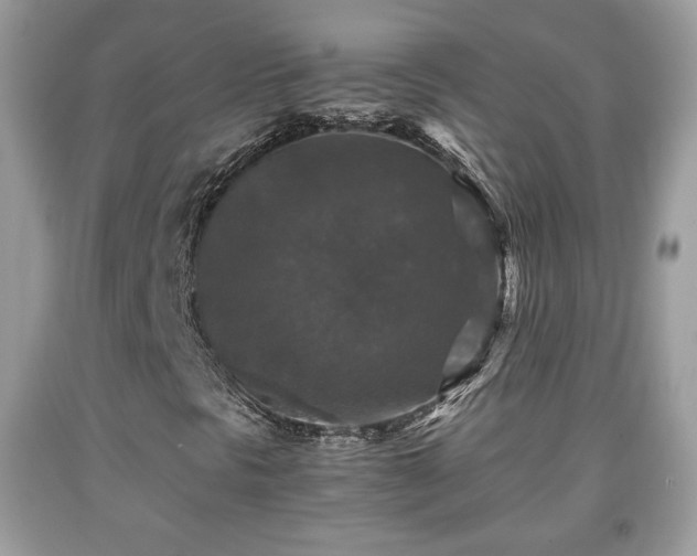 X0000091961297200709131218