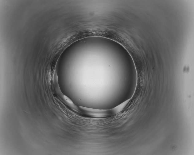 X0000091961298200709131218