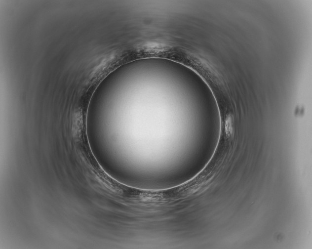 X0000091961299200709131218