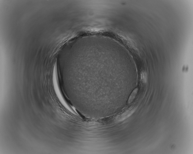 X0000091961300200709131218