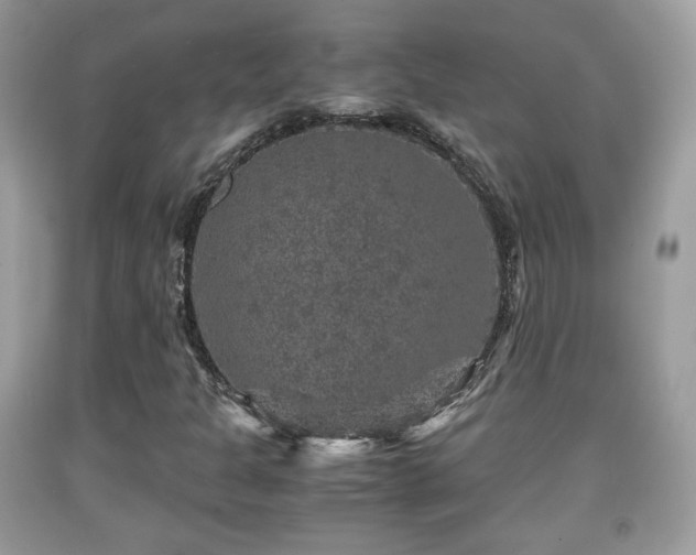 X0000091961301200709131218