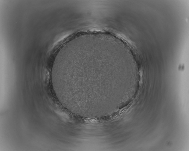 X0000091961302200709131218