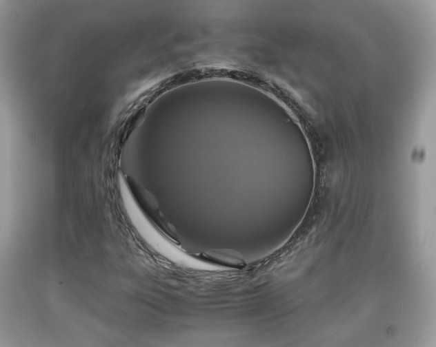 X0000091961303200709131218